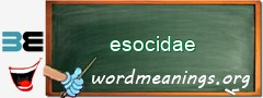 WordMeaning blackboard for esocidae